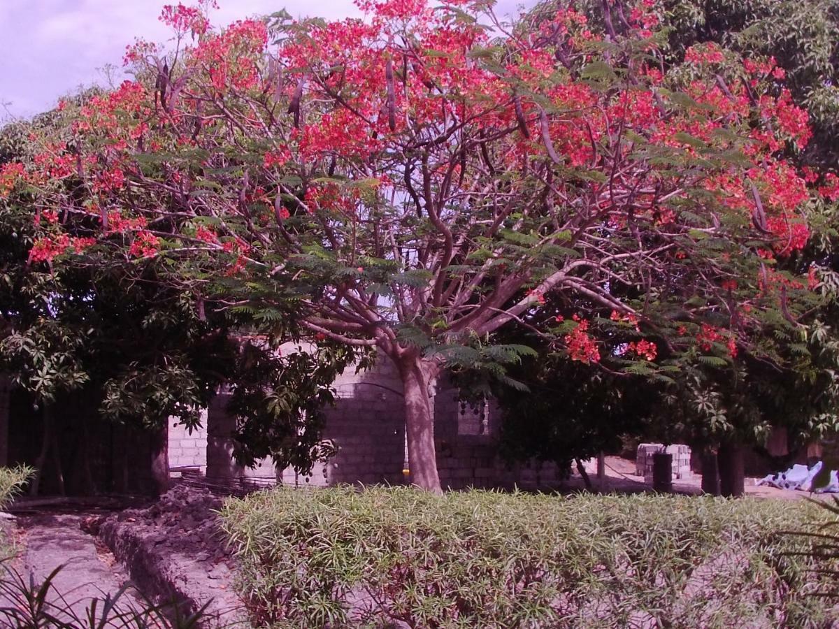B&B Mariamacounda Toubakouta Bagian luar foto